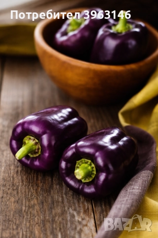 Семена за Стотинки, снимка 15 - Сортови семена и луковици - 52838410