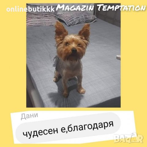 Българско производство Чаршафи с ластик 100 % памук ранфорс 160х200 и 180х200 ♥️, снимка 14 - Спално бельо - 39367704