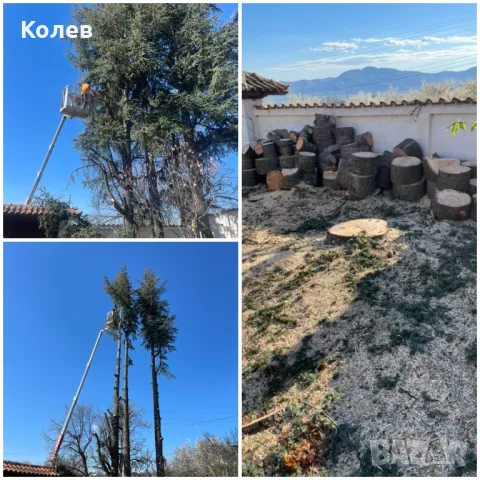 Рязане  и кастрене на рискови дървета Пловдив, снимка 8 - Други услуги - 38903149