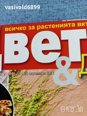 Списание "Цветя и дом" 11÷25 10/2011 , снимка 2 - Списания и комикси - 56317332