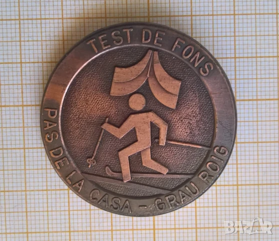 Франция ски спорт голяма значка, снимка 1