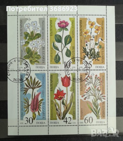 1989 (22 февруари). Растения застрашени от изчезване. Блок с печат.