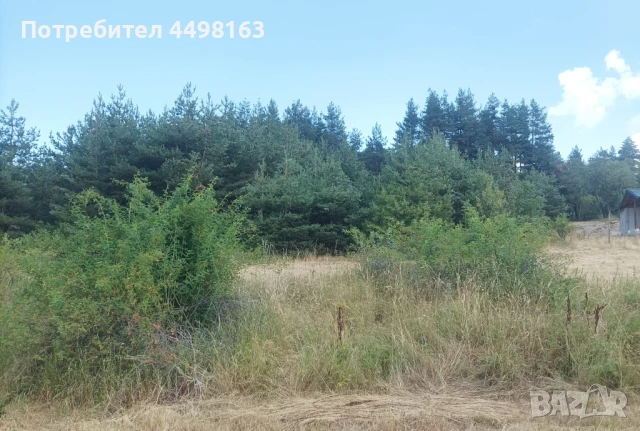 Парцел град Батак  местност Друма , снимка 2 - Земеделска земя - 51239759