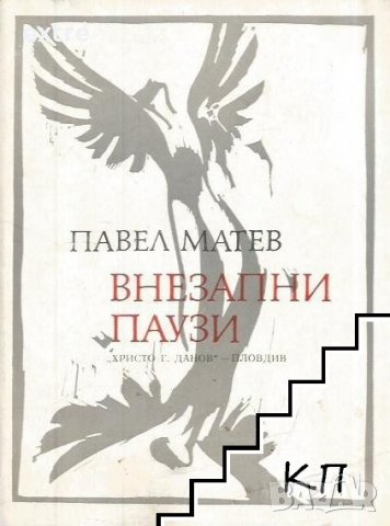 Внезапни паузи Павел Матев