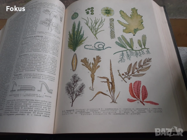 Малая советская енциклопедия - 5 тома, снимка 3 - Антикварни и старинни предмети - 53429654