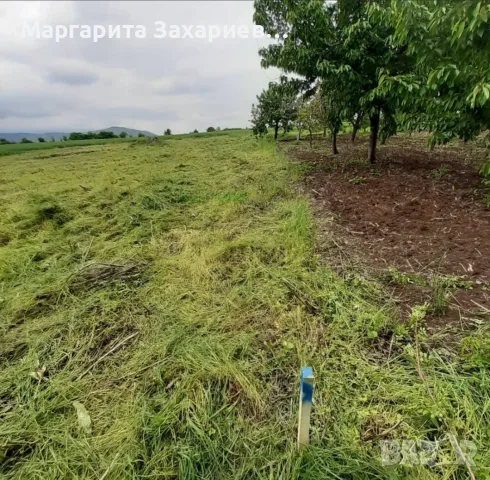 УПИ парцел 1320м2 Готов проект Разрешително за строеж Капитан Димитриево, снимка 4 - Парцели - 54363256