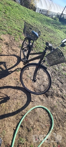 FALTER URBAN 4.0 дамски велосипед