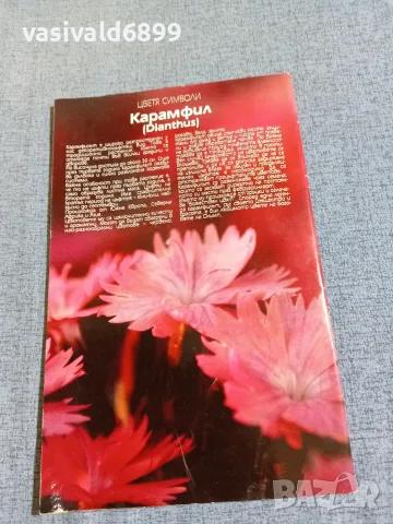 Списание "Цветя и дом" 14÷20.09/2010, снимка 4 - Списания и комикси - 56317674