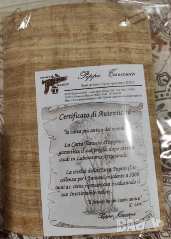 Оригинален папирус от Сиракуза (Сицилия) - Архимед, 18 х 13 см, снимка 4 - Картини - 48256362