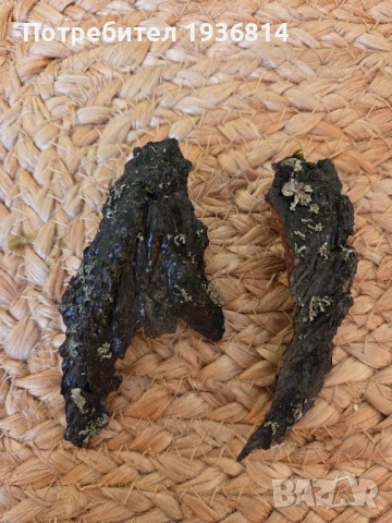 Авторски обици 