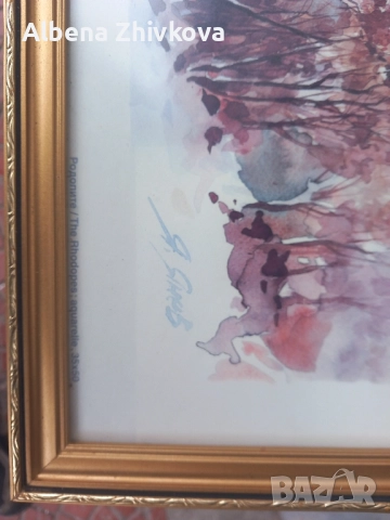 две картини рамкирани под хелеоматично стъкло, снимка 3 - Картини - 52051713