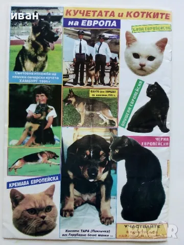 Списание "Обичам те,животно" 1996г. брой 26 и 28, снимка 3 - Списания и комикси - 50111176