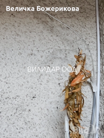 Почистване на вход, снимка 7 - Почистване на входове - 52770976