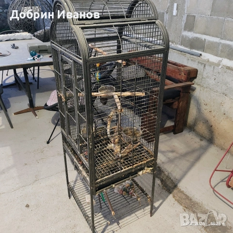Клетка за големи папагали , снимка 4 - Папагали - 53607544