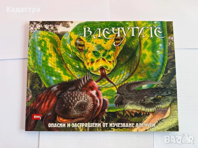 Комплект от 8 детски енциклопедии и занимателни книги , снимка 9 - Детски книжки - 56008492