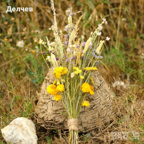 Пана и букети от сухи цветя, снимка 15 - Декорация за дома - 51338916