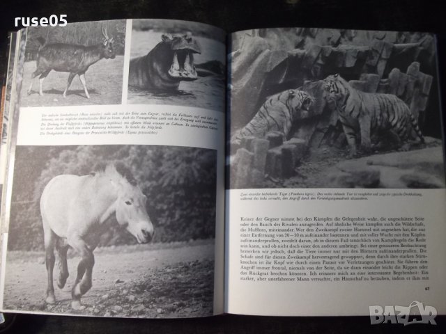 Книга "Sind Tiere Anders ? - Z.VESELOVSKÝ" - 208 стр., снимка 6 - Специализирана литература - 35776683