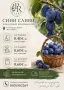 Сини сливи сорт Стенлей за ракия или сладко, снимка 2