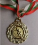 Спортни плакети,медали,от състезания., снимка 11