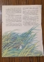 Продавам пълната годишнина на детското списание „Барвинок" от 1988 г. – всички 12 броя , снимка 14