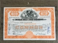 Сертификат Акция САЩ + Акция 100 лева "Свети Георги" 1941г., снимка 6