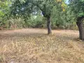 Къща в с. Скравена/ София област/, снимка 3