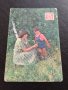 Две КАЛЕНДАРЧЕТА ЗАСТРАХОВАНЕ РУСИЯ СТАРИ РЕДКИ ПЕРФЕКТНО СЪСТОЯНИЕ ЗА КОЛЕКЦИЯ ДЕКОРАЦИЯ 35356, снимка 7