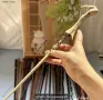 Хари Потър пръчки, снимка 4