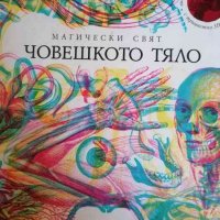 Магически свят: Човешкото тяло, снимка 1 - Енциклопедии, справочници - 39753005