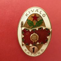 Унгарски нагръден знак Kivalo Katona"Отличен войник" I степен значка, снимка 1 - Антикварни и старинни предмети - 42629978