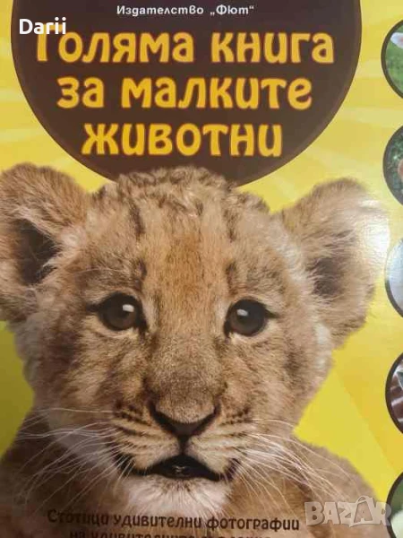 Голяма книга за малките животни, снимка 1