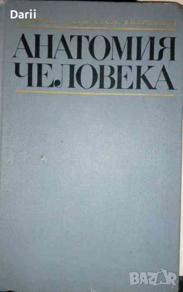 Анатомия человека -М. Г. Привес, Н. К. Лысенков, В. И. Бушкович, снимка 1