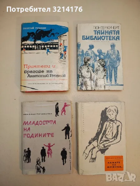 Младостта на годините - Николай Почивалин, снимка 1