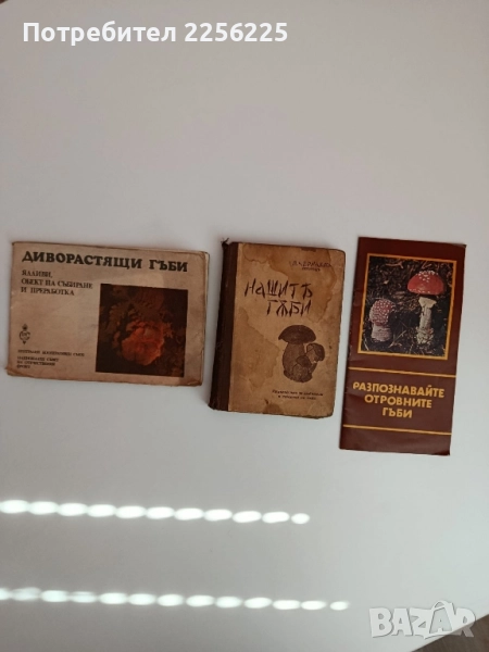 ЛОТ Гъбарство, снимка 1