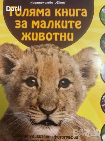 Голяма книга за малките животни