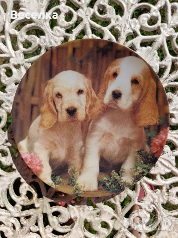 2 декоративни порцеланови чинии с кученца , снимка 6 - Антикварни и старинни предмети - 52424934