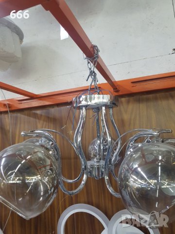 Полилей, снимка 2 - Полилеи - 41988544