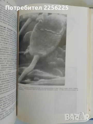 Обща хистология и ембриология, снимка 5 - Специализирана литература - 47491749