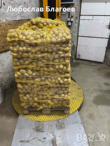 Пакетирани картофи на по 10 кг., снимка 2 - Домашни продукти - 55875873