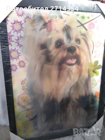 Продавам стерео картина Йоркширски териер, снимка 6 - Картини - 36110320