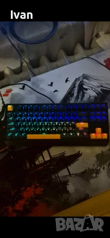 Genesis Thor 230 tkl, снимка 4 - Клавиатури и мишки - 53185078