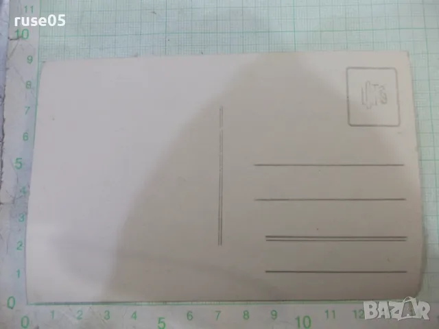 Снимка стара на дама - 2, снимка 2 - Колекции - 48003632