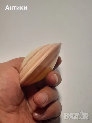 Мида морска, снимка 4 - Други - 48460022