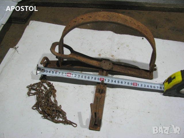 капан клюса