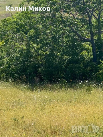 земеделска земя намираща в землището на село Белащица и Марково, снимка 13 - Земеделска земя - 52448452