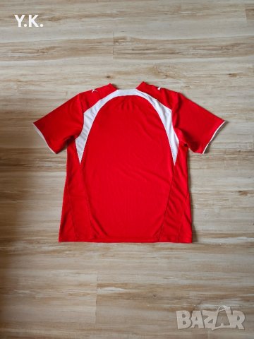 Оригинална мъжка тениска Puma x F.C. Olympiacos / Season 06-07 (Fourth), снимка 3 - Тениски - 40544277