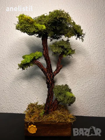 Бонсай със скандинавски мъх 