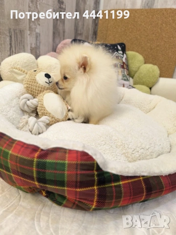 Свободно момиче