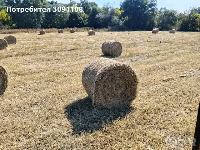 продавам бали сено