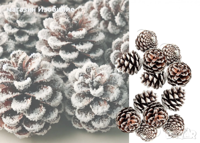 Комплект от 6 или 12 броя коледни шишарки, снимка 9 - Декорация за дома - 52294009